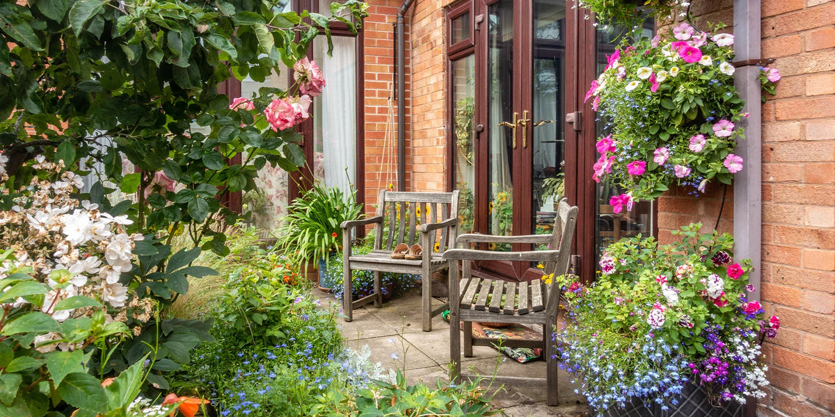 Perfekte Pflanzen für schattige Terrassen