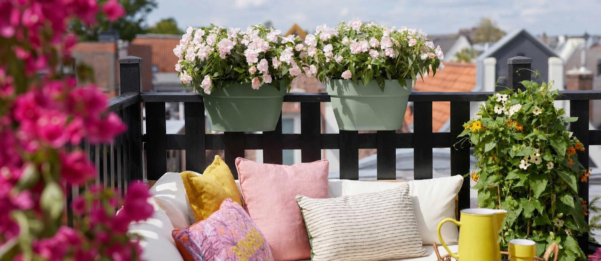 Die schönsten Pflanzen und Blumen für Ihren Balkon