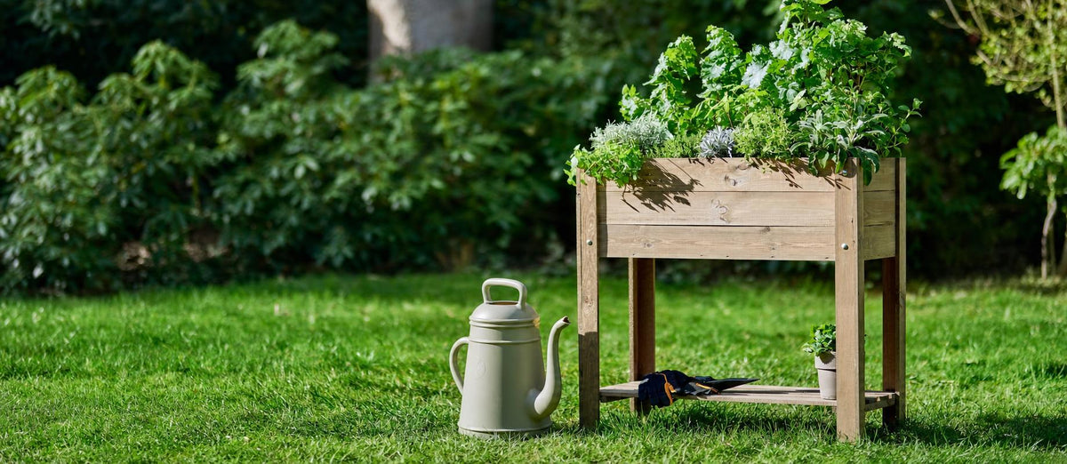 Gemüsegarten anlegen: Schritt-für-Schritt-Anleitung