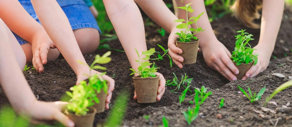 5 neue grüne Hobbys für Ihre Kinder