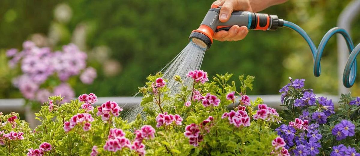 Bewässern im Sommer