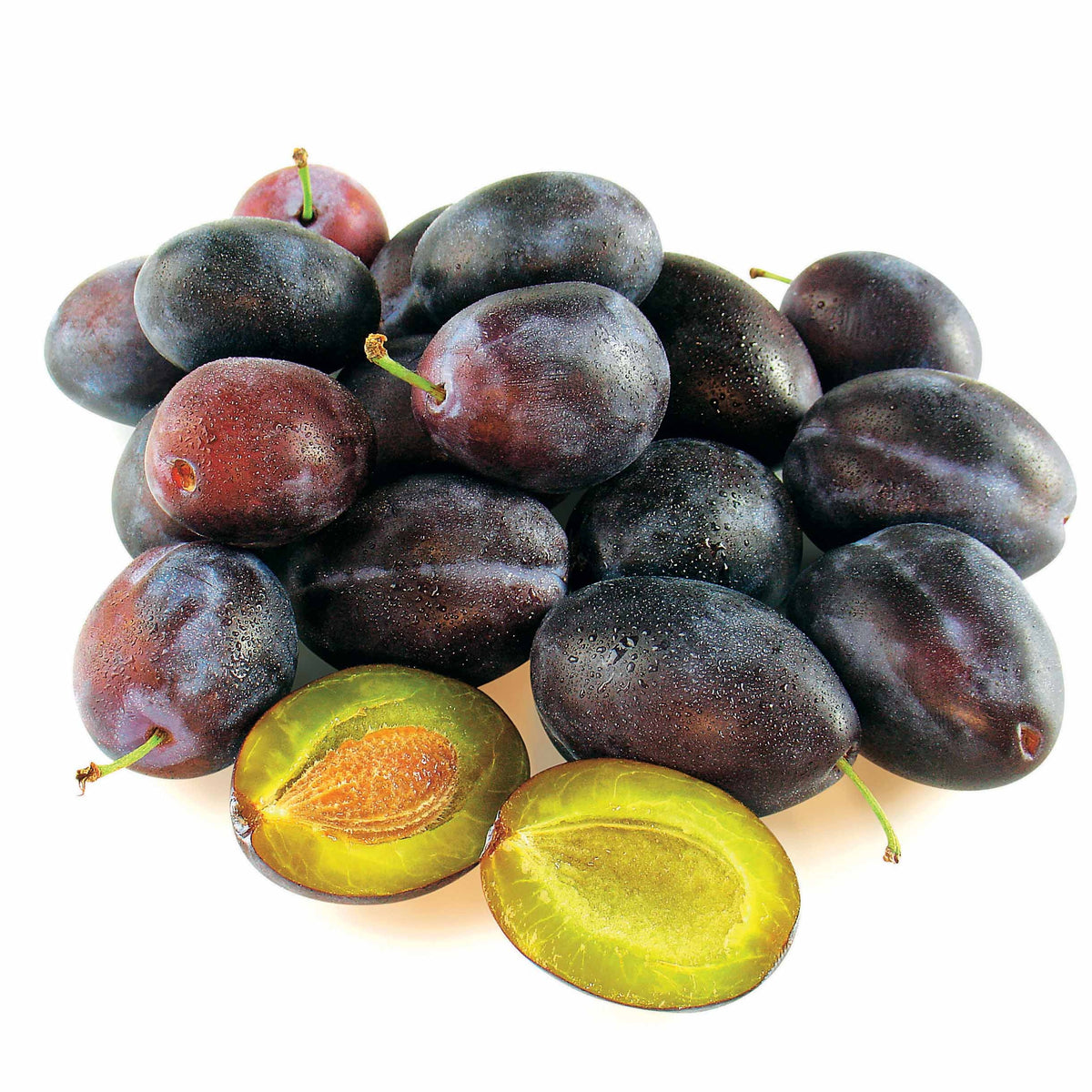 Verkauf Pflaume ‘Quetsche d’Alsace’
