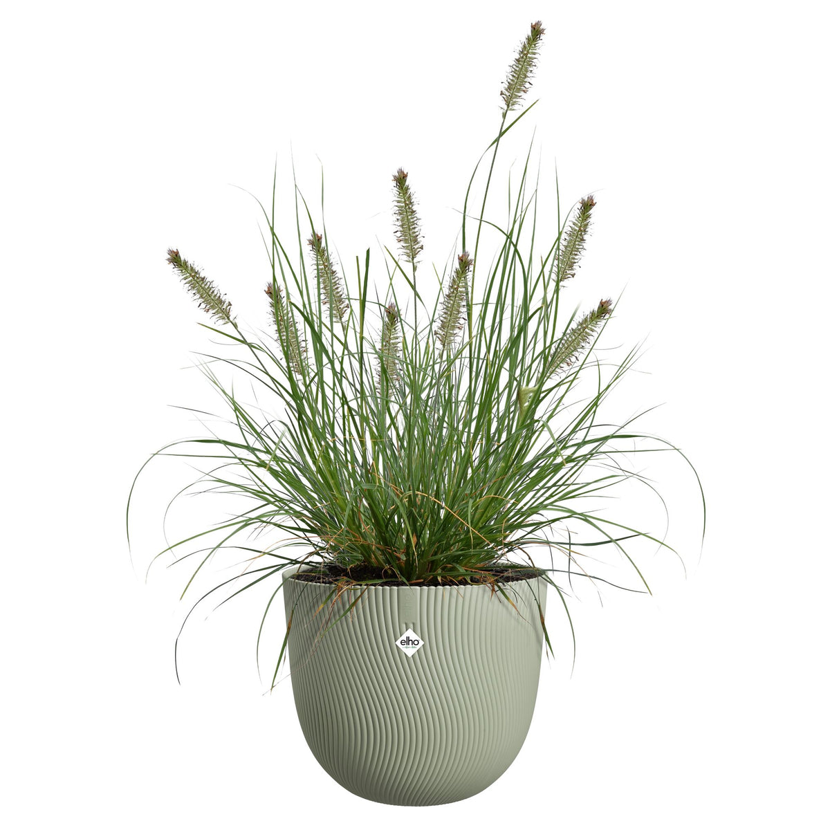 Blumentopf Sereh rund skandinavisches grün - - Bakker