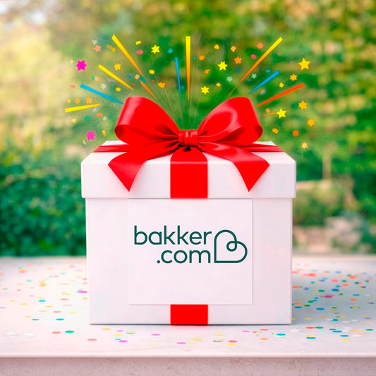 Hortensie weiss als Geschenk - Bakker