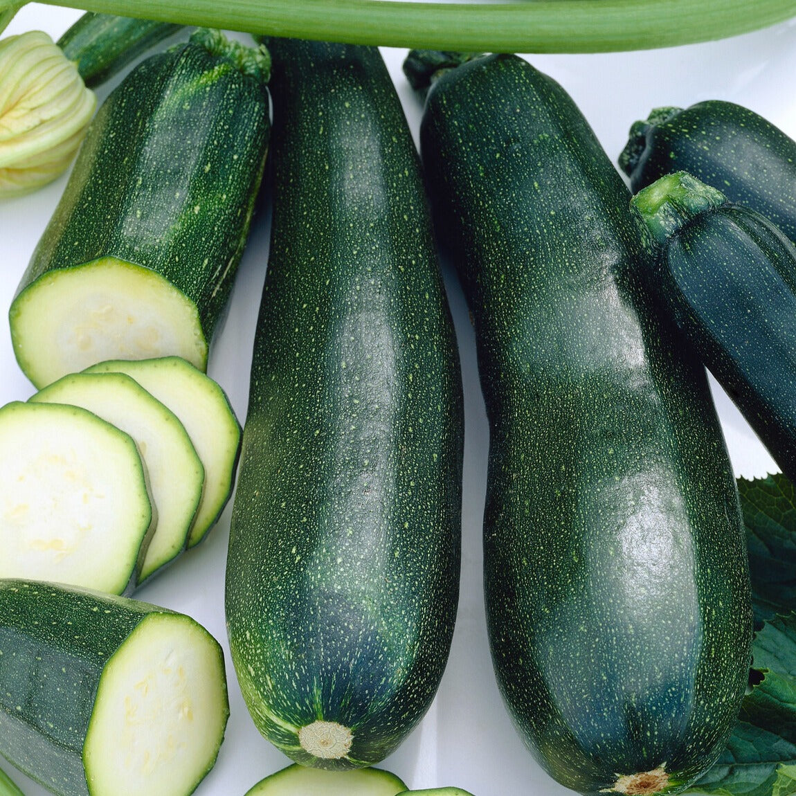 Zucchini Black Beauty - Bakker