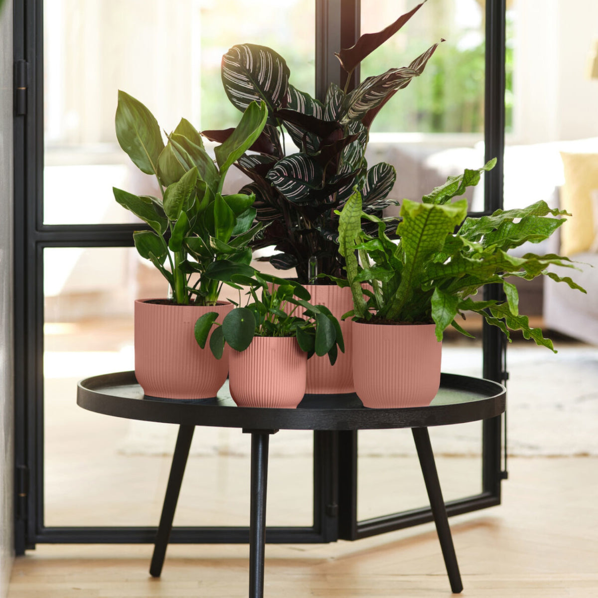 - Elho Blumentopf Vibes Fold rund rosa - Innentopf - Pflege und Material