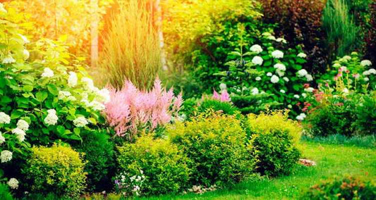 Bereiten Sie Ihren Garten auf der Sommer vor