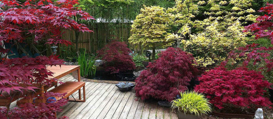 Ist Ihr Garten bereit für einen ‘Indian Summer’?
