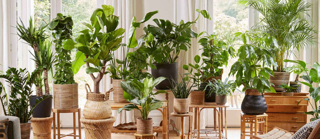 Die grünen Interieur-Trends für 2020/2021