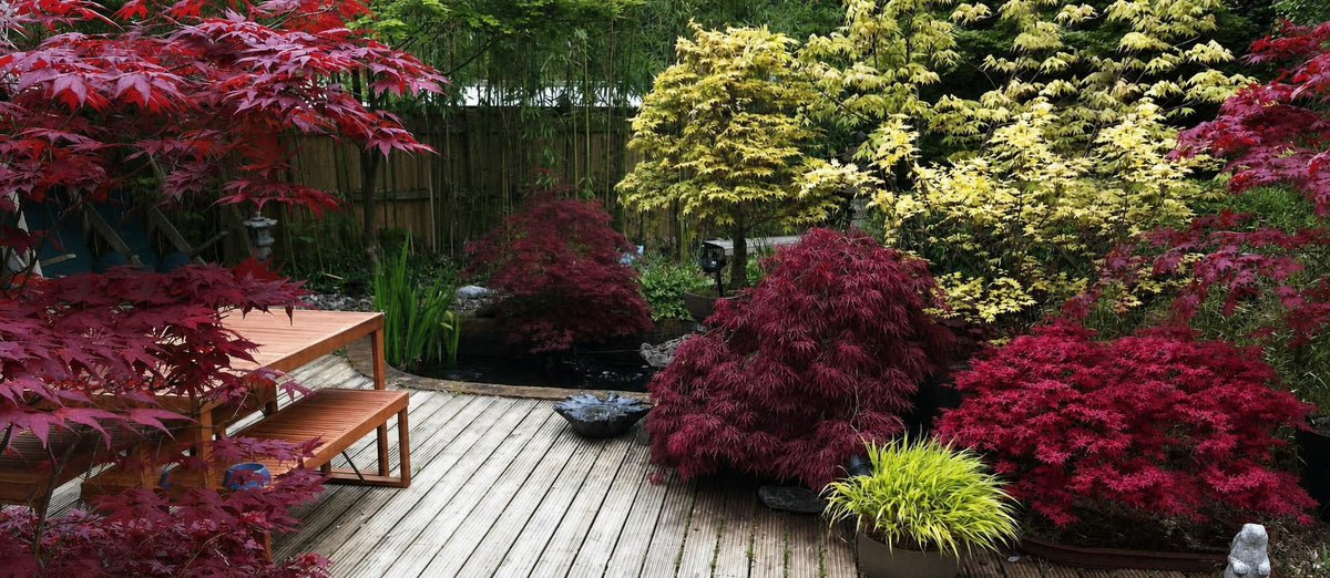 Ist Ihr Garten bereit für einen ‘Indian Summer’?