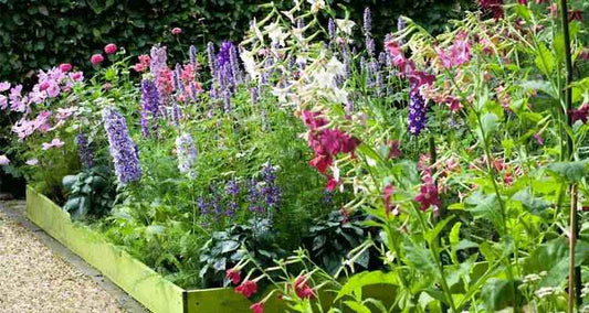 Ein Blumenstrauß aus Ihrem eigenen Garten Pflücken