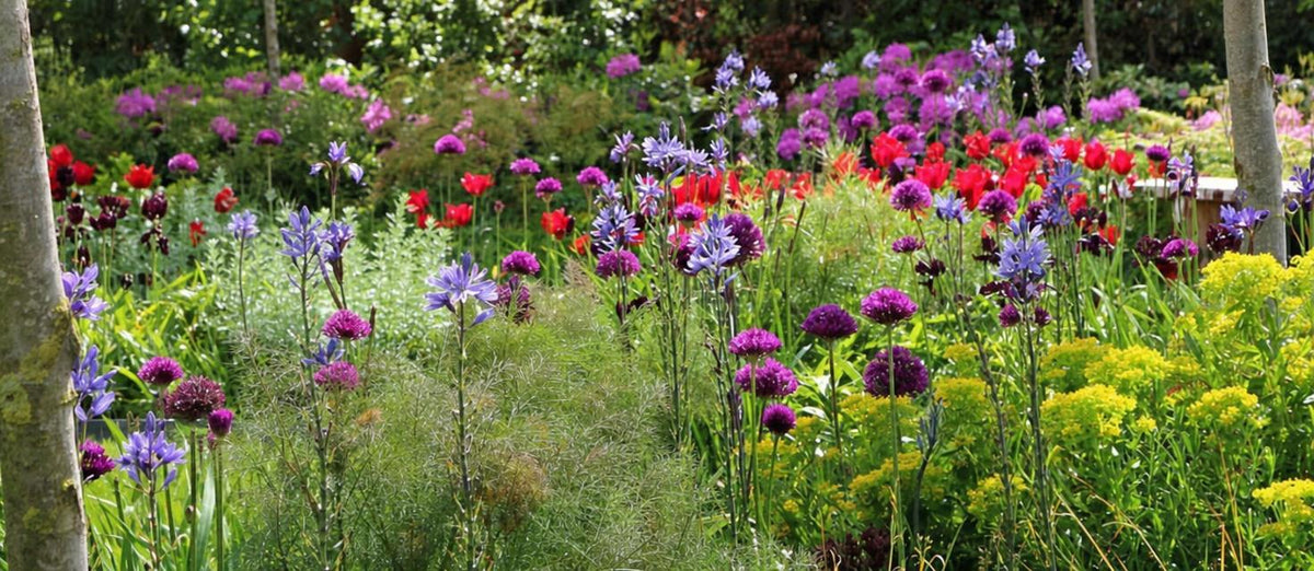 Top 5 der ausgefallensten Blumenzwiebelpakete