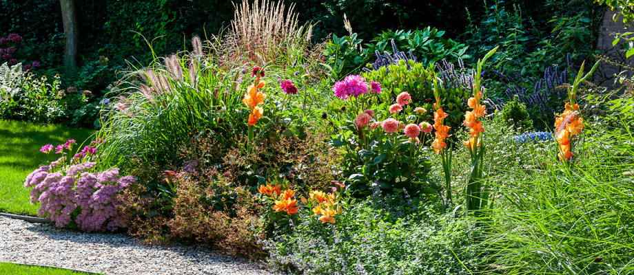 Top 5 goldene blumenzwiebeln stauden kombinationen