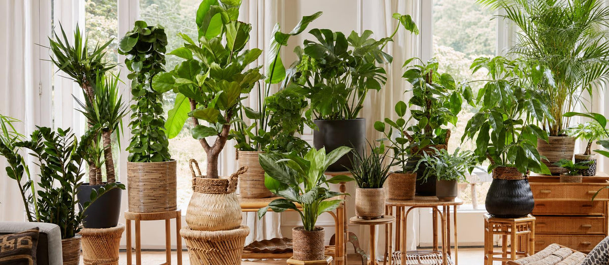 Die grünen Interieur-Trends für 2020/2021