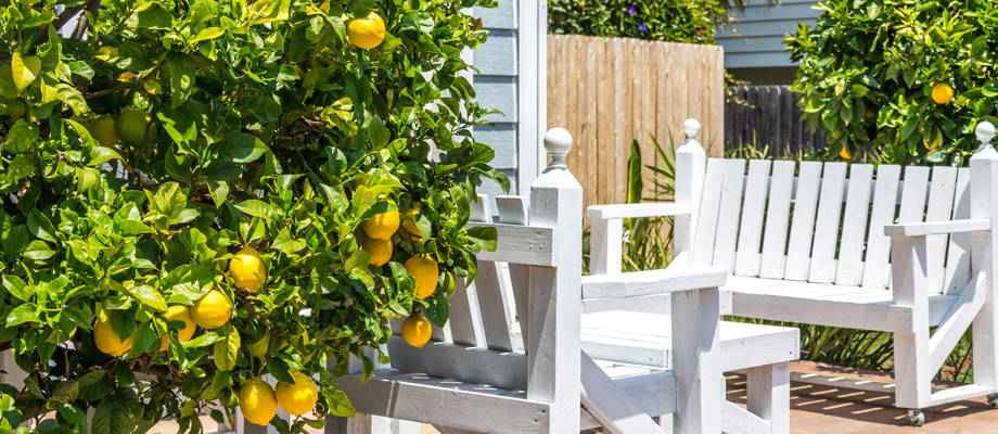 7 Tipps zum Kreieren einer mediterranen Atmosphäre