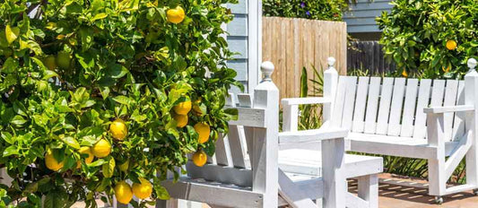 7 Tipps zum Kreieren einer mediterranen Atmosphäre