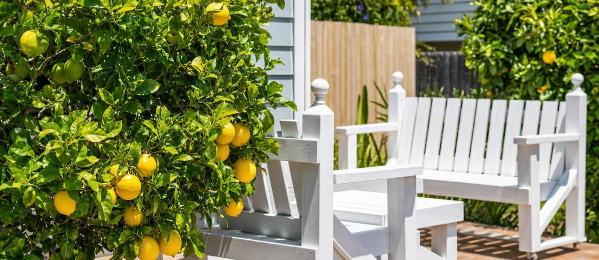7 Tipps zum Kreieren einer mediterranen Atmosphäre