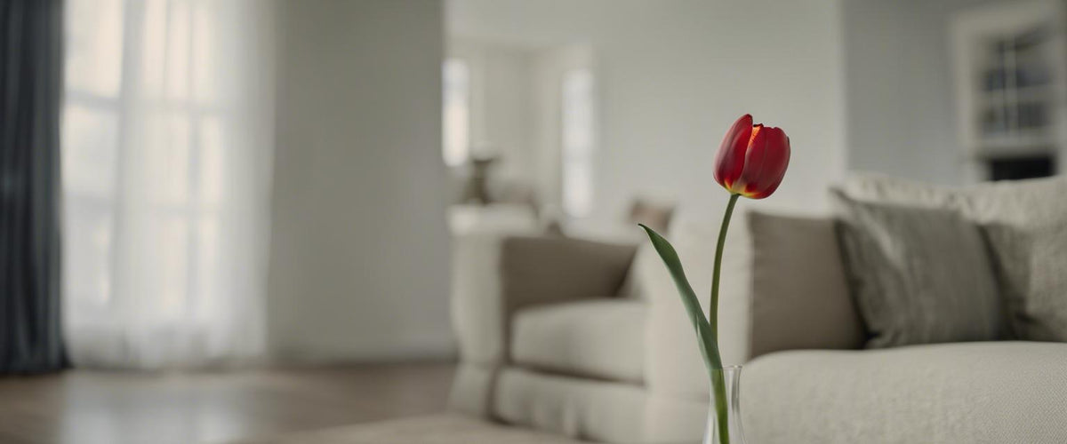 Pflegeleitfaden für Tulpen