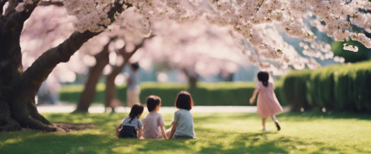 Spektakuläre Blüte der Japanischen Kirsche