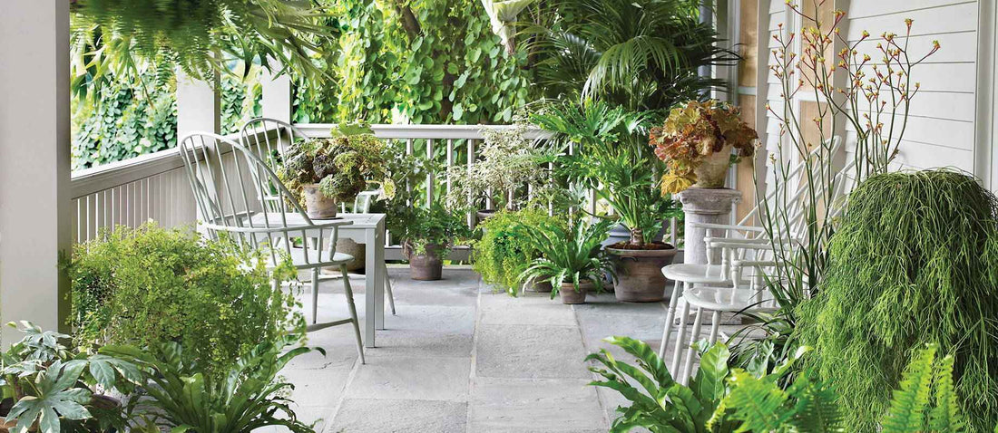 Wie schafft man einen urbanen Dschungel im Garten?