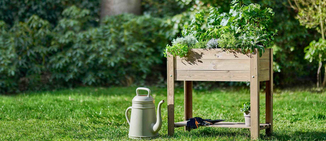Gemüsegarten anlegen: Schritt-für-Schritt-Anleitung