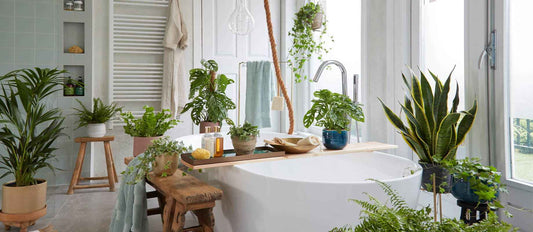 Schaffen Sie Ihren eigenen Home-Spa