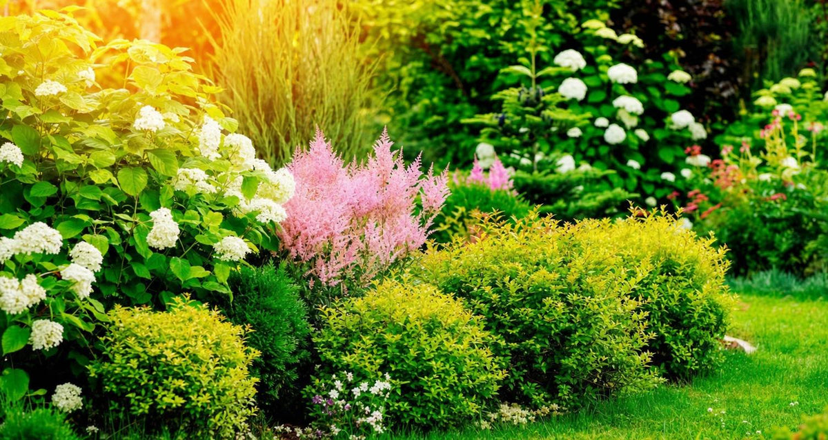 Bereiten Sie Ihren Garten auf der Sommer vor