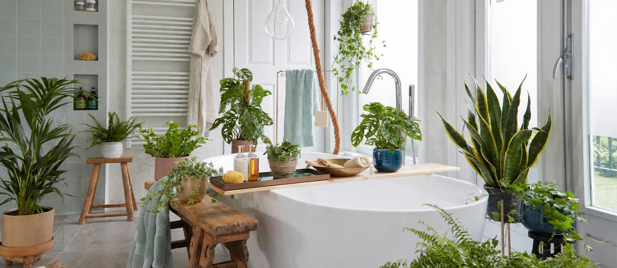 Schaffen Sie Ihren eigenen Home-Spa