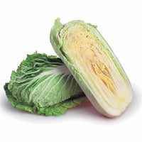 Samen für Kohl - Chinakohl Pe-Tsai - Brassica rapa pekinensis pe-tsai