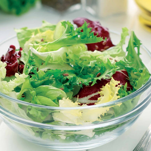 Mesclun-Salatmischung - Bakker