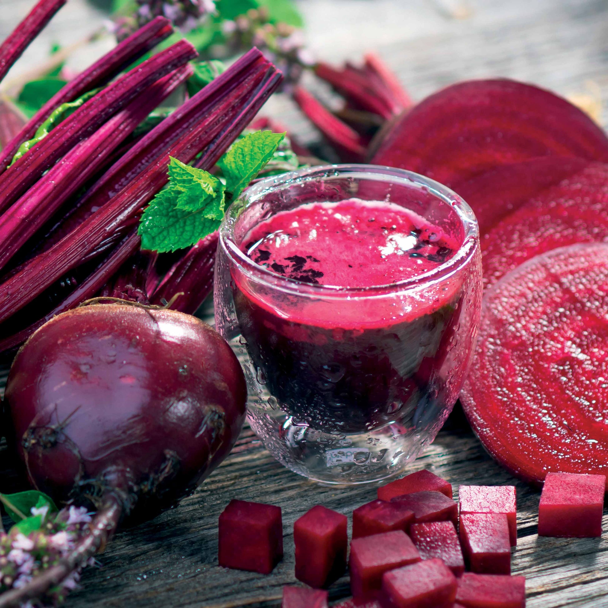 Rote Bete ‘Detroit 2’ - Beta vulgaris rouge de Détroit 2 - Bakker