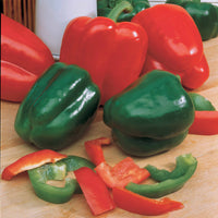 Verkauf Paprika Lamuyo F1 - Capsicum annuum lamuyo f1