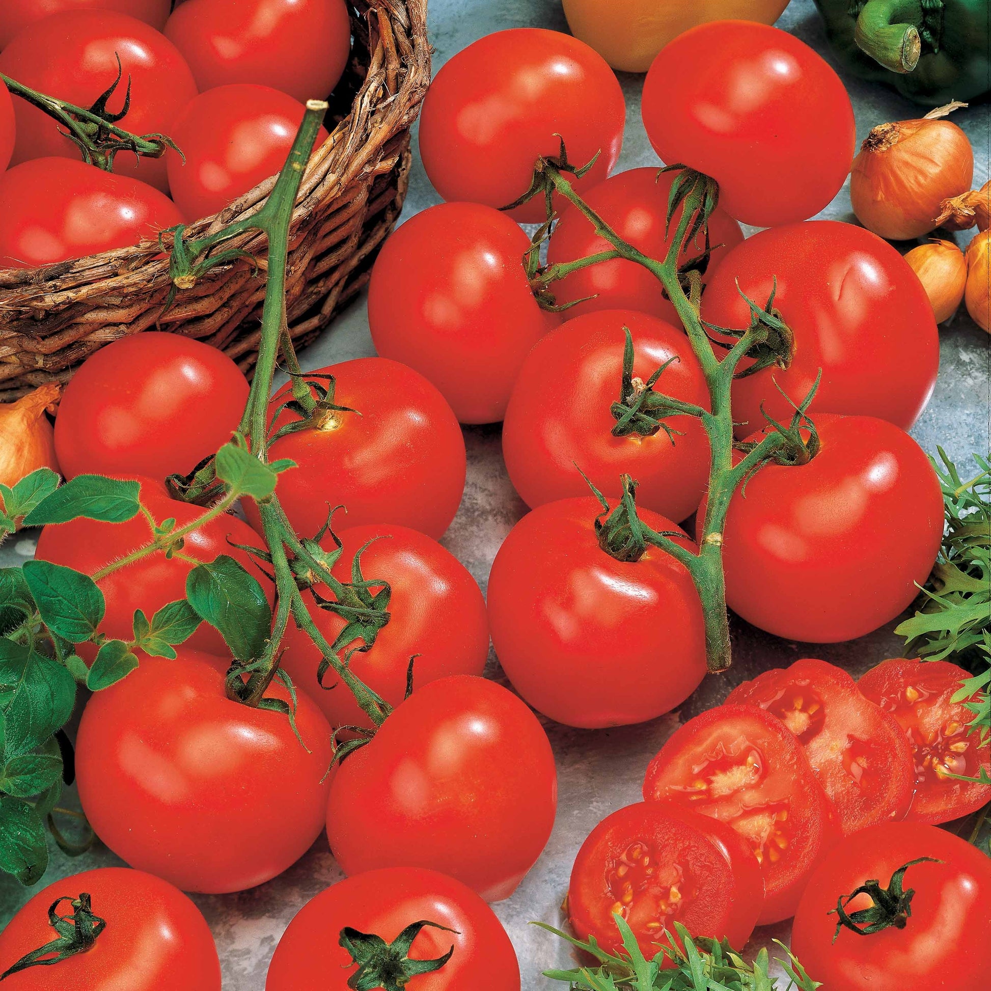 Tomate Vitador F1 - Solanum lycopersicum vitador f1 - Bakker