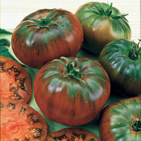 Samen für Tomaten - Schwarze Fleischtomate 'Noire Russe' - Solanum lycopersicum noire russe