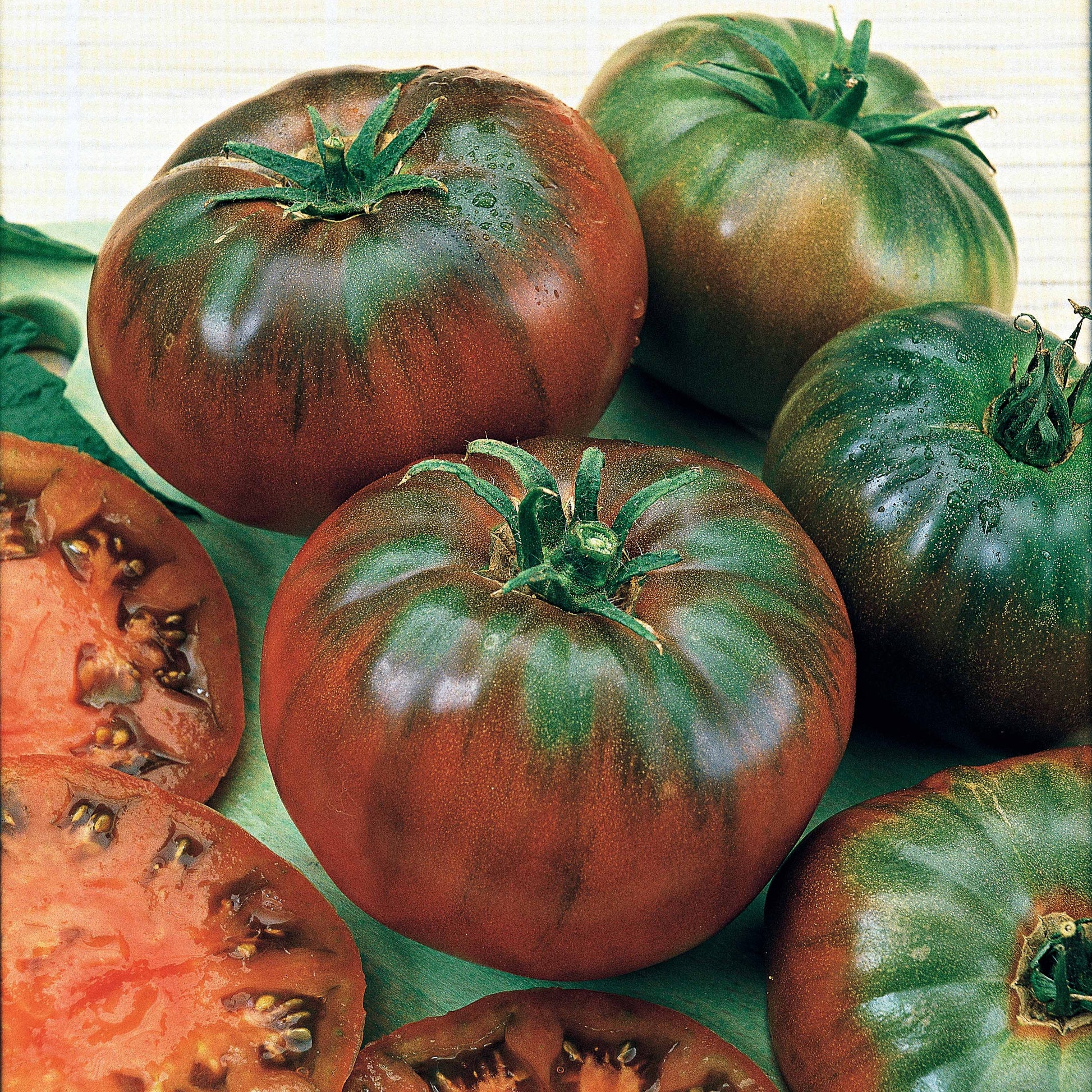 Samen für Tomaten - Schwarze Fleischtomate 'Noire Russe' - Solanum lycopersicum noire russe