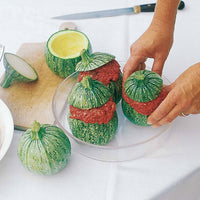 Samen für Zucchini - Runde Zucchini ‘De Nice’ - Cucurbita pepo de nice à fruits ronds