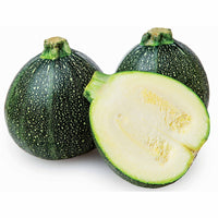 Cucurbita pepo de nice à fruits ronds - Runde Zucchini ‘De Nice’ - Samen für Zucchini