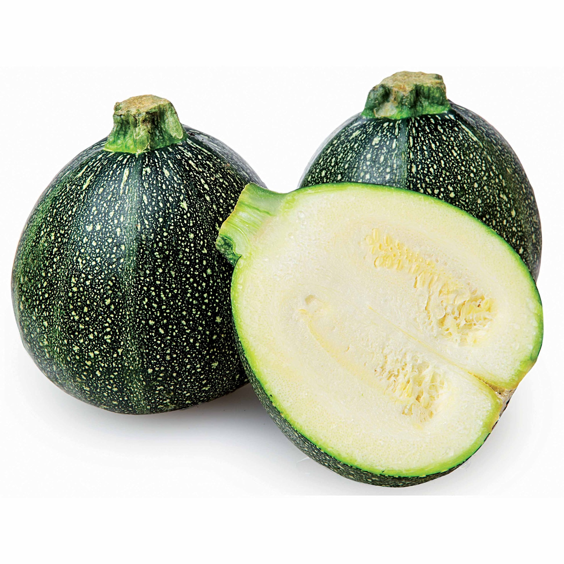 Cucurbita pepo de nice à fruits ronds - Runde Zucchini ‘De Nice’ - Samen für Zucchini