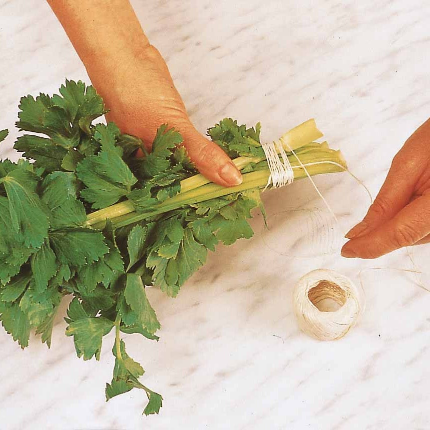 Kräutersamen - Schnittsellerie - Apium graveolens