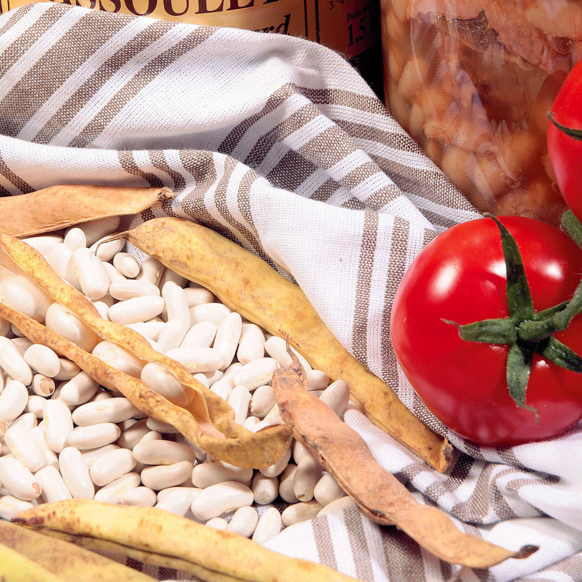Samen für Bohnen - Mais-Stangenbohnen Tarbais - Phaseolus vulgaris haricot maïs type tarbais