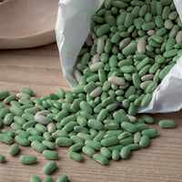 Buschbohne ‘Chevrier vert Flagrano’ - Phaseolus vulgaris chevrier vert flagrano - Bakker