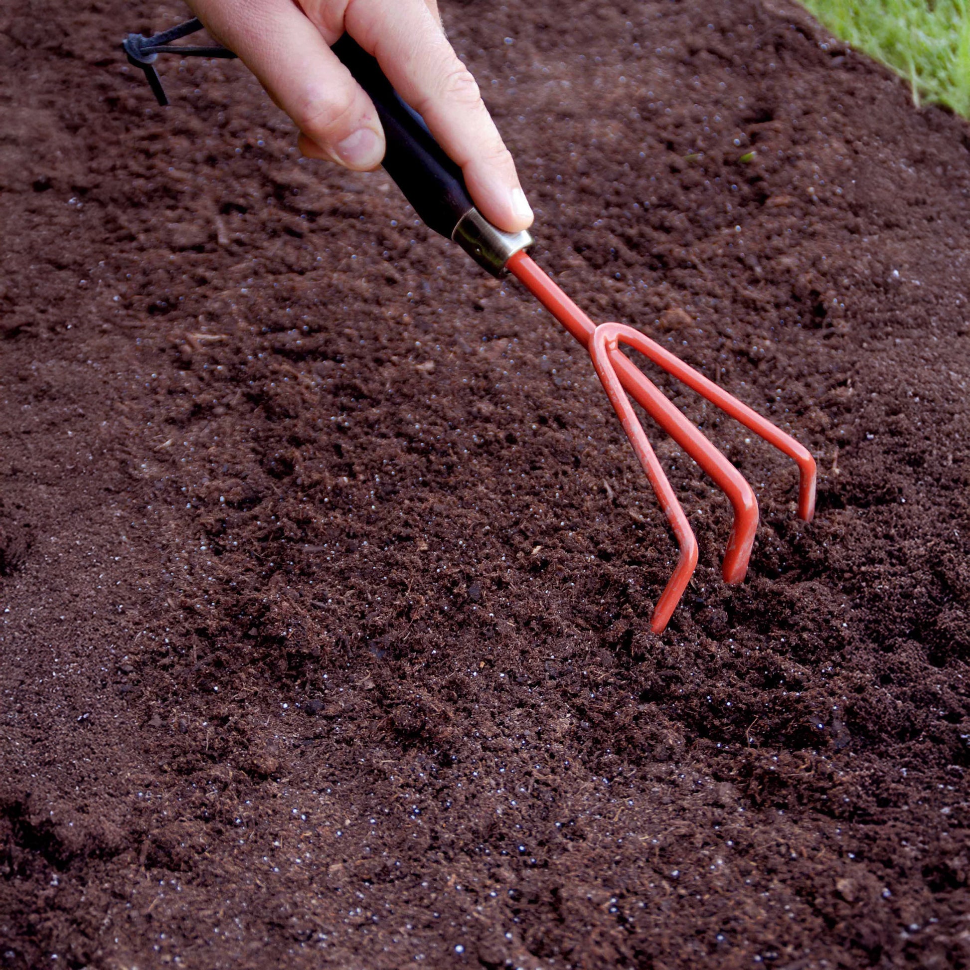 Saatteppich für Blumenrabatten -  - Bakker