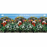 Saatteppich für Blumenrabatten - Bakker