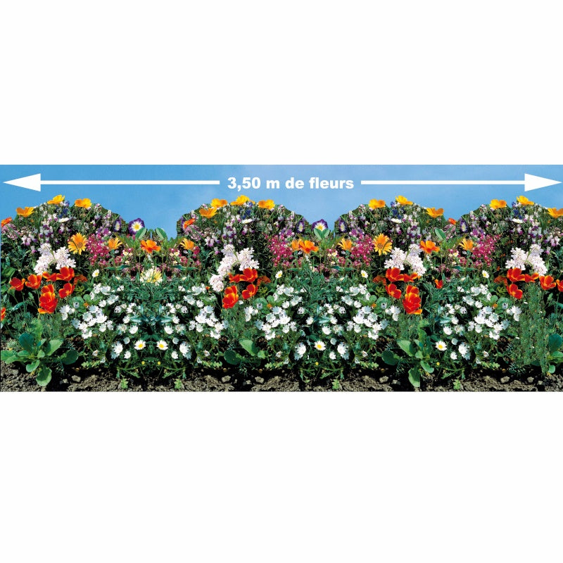 Saatteppich für Blumenrabatten - Bakker