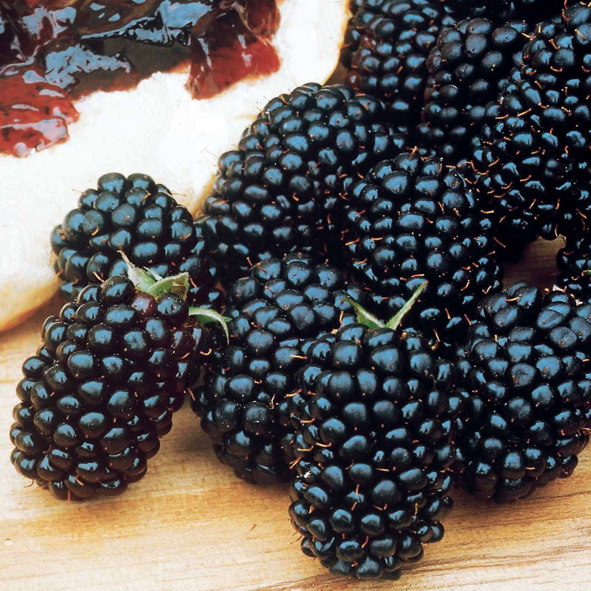 Brombeere Dirksen - Bakker