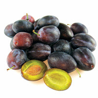 Verkauf Pflaume ‘Quetsche d’Alsace’