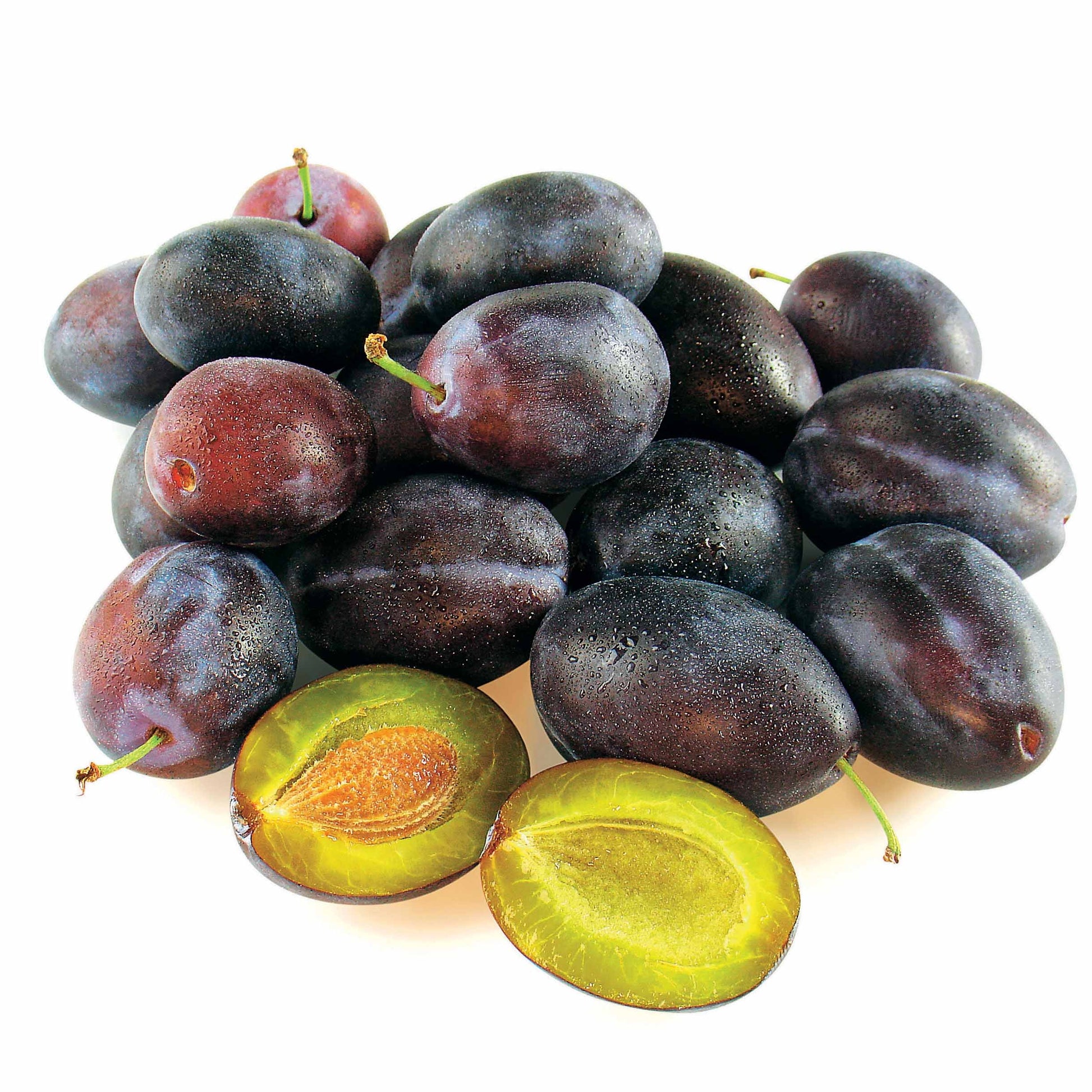 Verkauf Pflaume ‘Quetsche d’Alsace’
