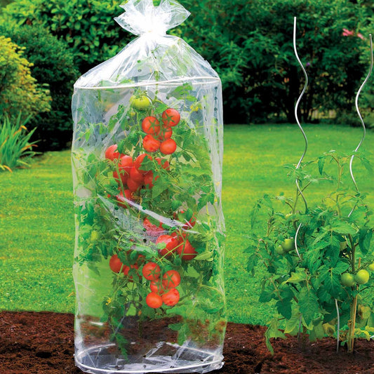 Tomaten-Schutzhüllen (x2) - Bakker