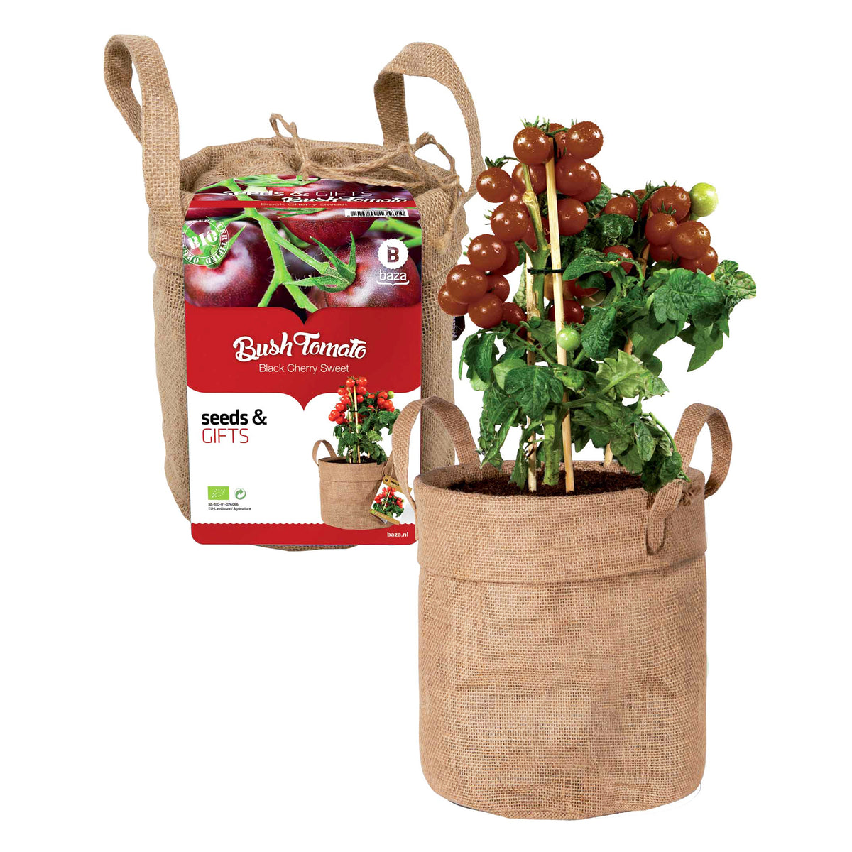 Schwarze Cherrytomaten-Set mit Dekosack & Erde - Bakker
