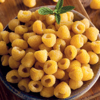 Verkauf Himbeeren Fallgold